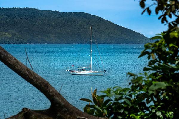 Barco pelas �rvores